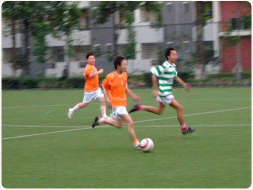 2008050417204913820