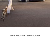 UPAY钱包(中国区) - 官方网站